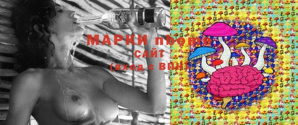 тгк Арсеньев