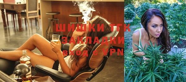 прущие грибы Армянск