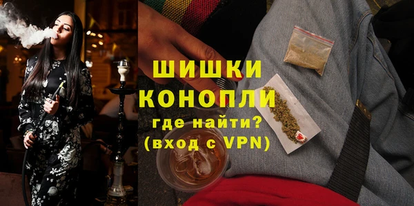 прущие грибы Армянск