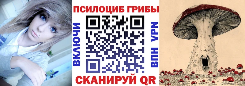 Псилоцибиновые грибы Magic Shrooms  купить  сайты  Северобайкальск 